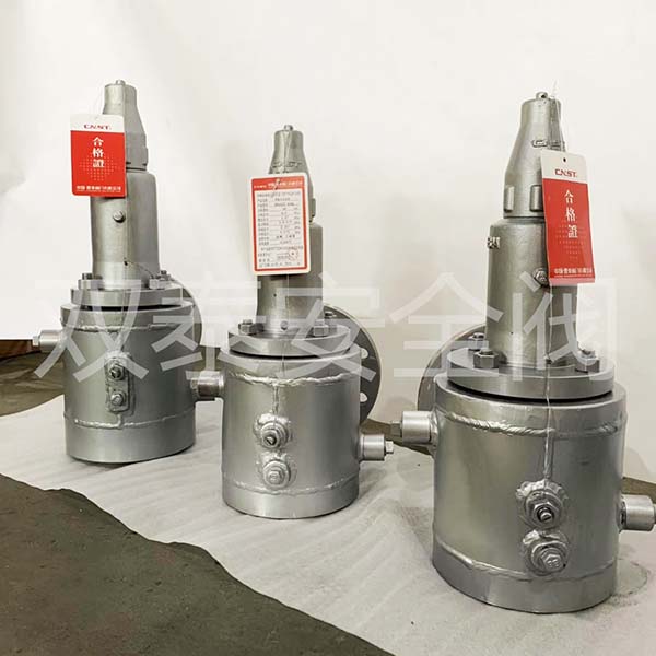 保溫夾套波紋管安全閥3.jpg 保溫夾套波紋管安全閥3.jpg