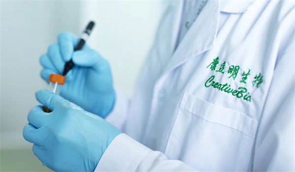 康立�?-600.png 康立�?-600.png