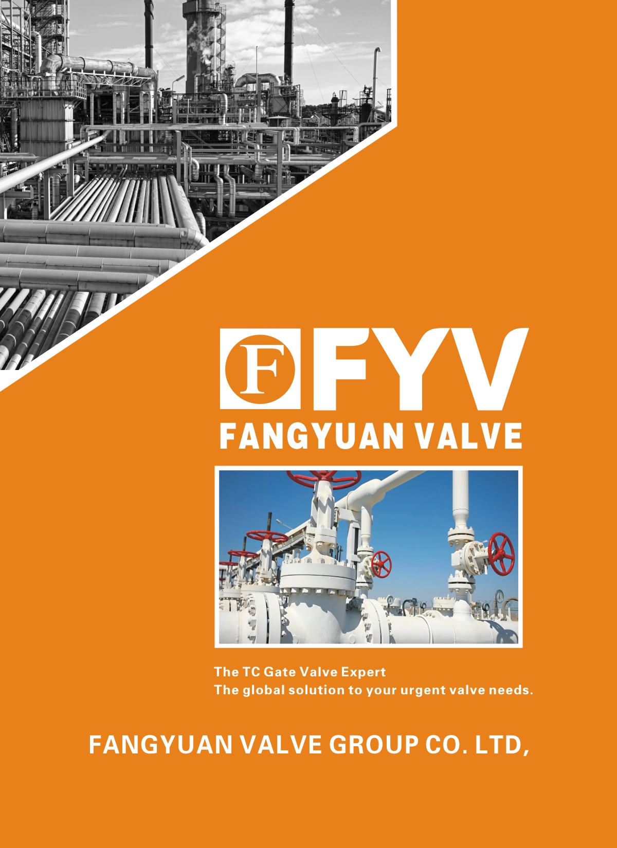 FANGYUAN VALVE E-BOOKAQӕ